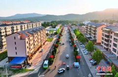 （乡村行·看振兴）路畅业